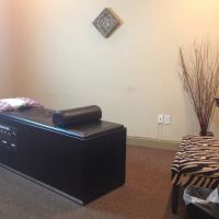 Pain and Injury Chiropractic ico