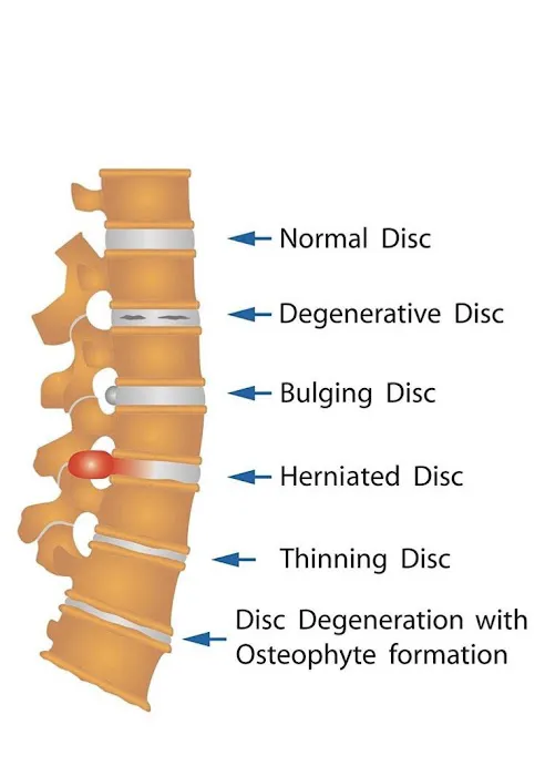 MAK Chiropractic clinic Picture 7