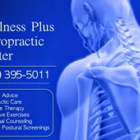 Wellness Plus Chiropractic ico