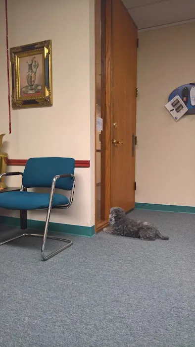 Judy Kelly, DC Picture 1