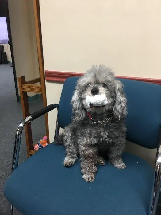 Judy Kelly, DC Picture 8