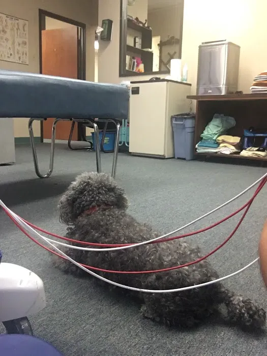 Judy Kelly, DC Picture 7