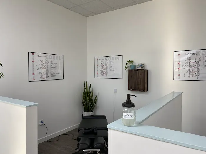 Rise Family Chiropractic Picture 5