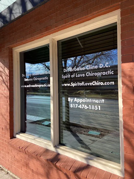 Spirit of Love Chiropractic Picture 3