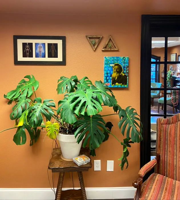 Spirit of Love Chiropractic Picture 7