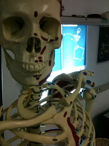 Monticello Chiropractic, PLLC Picture 4