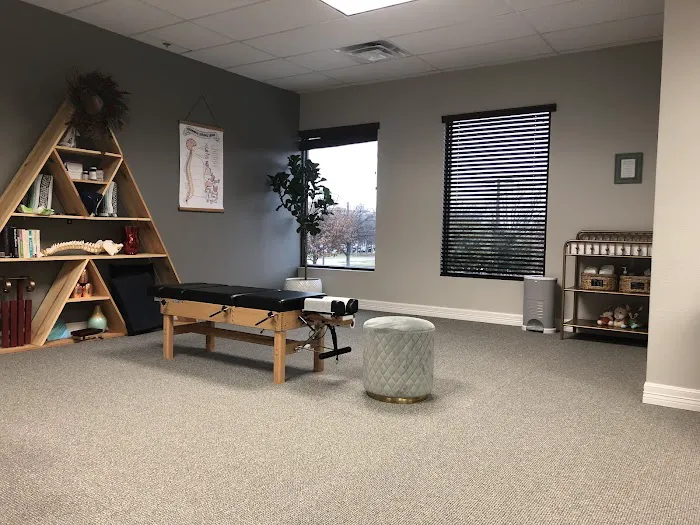 Triada Chiropractic for Women and Children Picture 1