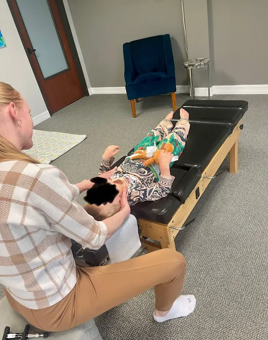 Triada Chiropractic for Women and Children Picture 5