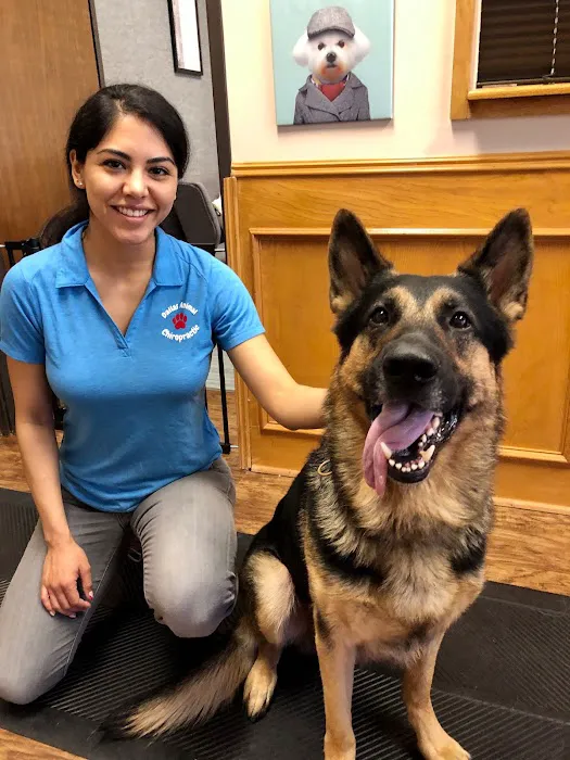 Dallas Animal Chiropractic Picture 2