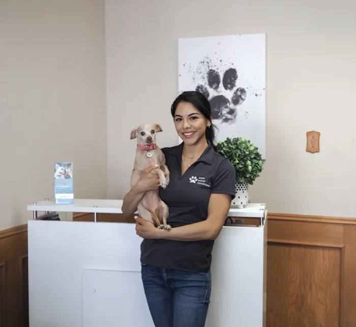Dallas Animal Chiropractic Picture 6