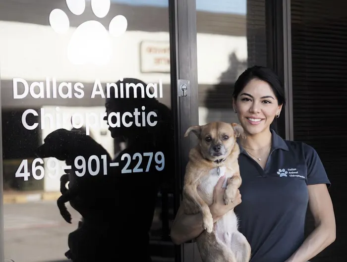 Dallas Animal Chiropractic Picture 4