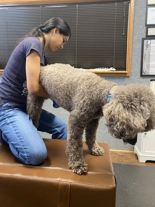 Dallas Animal Chiropractic Picture 7