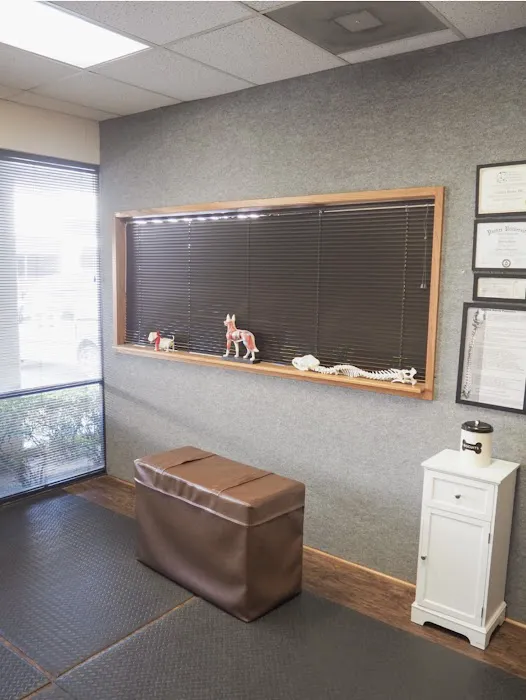 Dallas Animal Chiropractic Picture 10