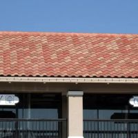 Back to Health Family Chiropractic ico