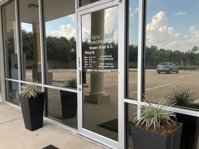New Leaf Chiropractic Picture 2