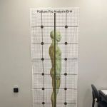 New Leaf Chiropractic