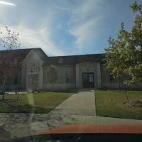 Elevate Life Chiropractic ico