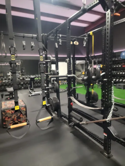 PRISM Chiropractic LLC Picture 4