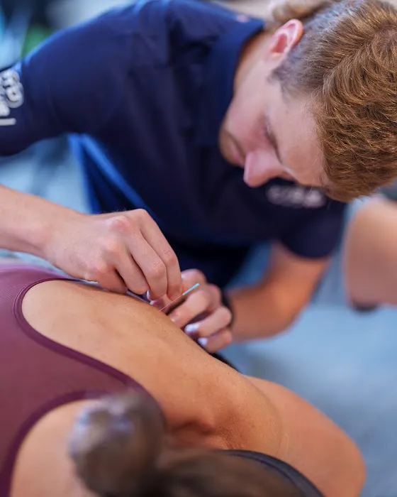 Pro Movement Dallas Chiropractic & Sports Therapy Picture 5