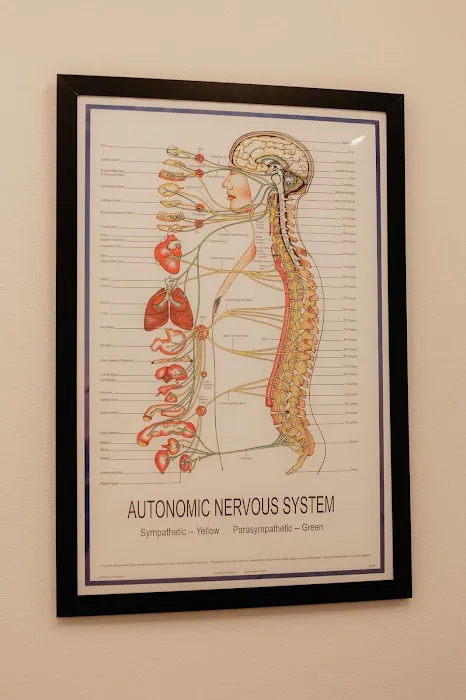 Rose Chiropractic & Wellness Decatur Picture 1