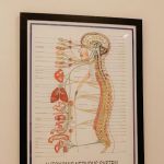 Rose Chiropractic & Wellness Decatur