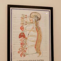 Rose Chiropractic & Wellness Decatur ico