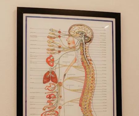 Rose Chiropractic & Wellness Decatur