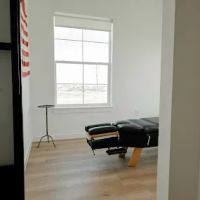 Aline Chiropractic ico