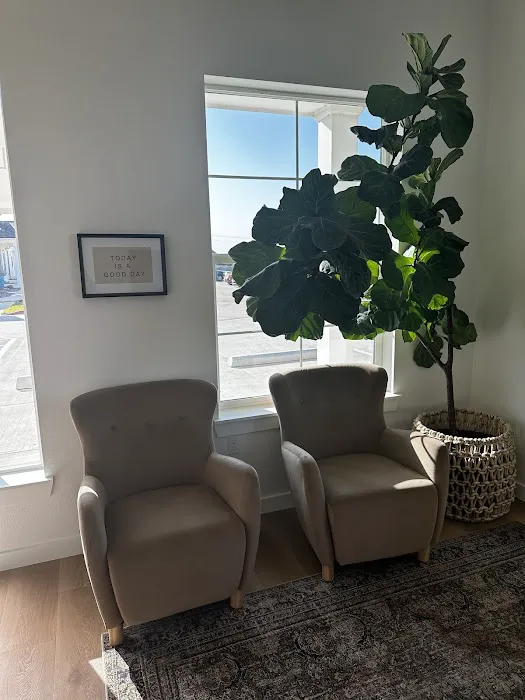 Aline Chiropractic Picture 3