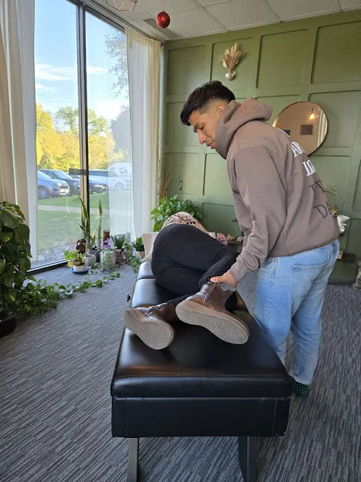 Our Light Chiropractic Picture 3