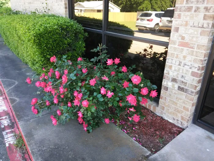 Texas Pain & Wellness Picture 7