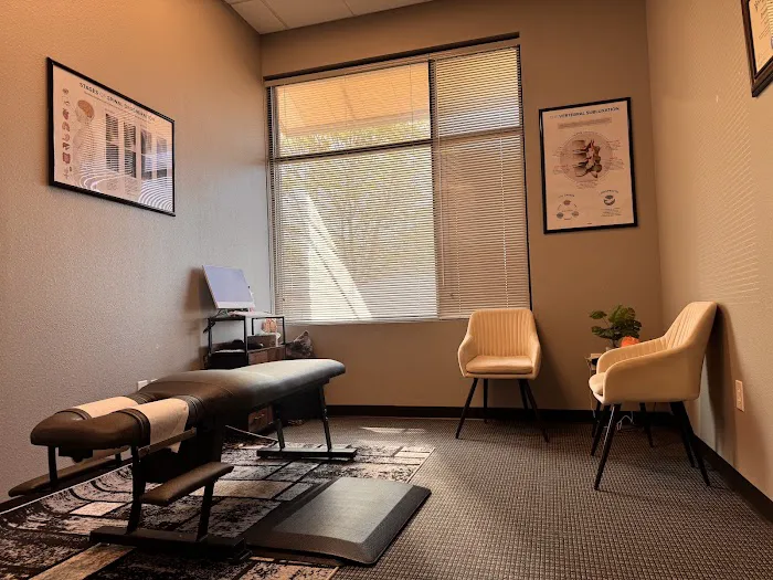Flow State Chiropractic I Frisco Family & Accident Injury Care Picture 8