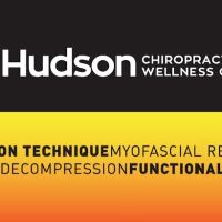 HUDSON CHIROPRACTIC WELLNESS CENTER ico