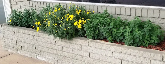 Fisher Chiropractic Picture 6