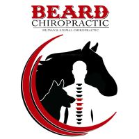 Beard Chiropractic ico