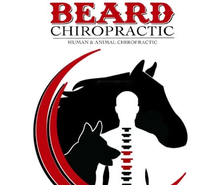 Beard Chiropractic