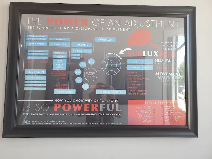 Align Chiropractic Picture 4