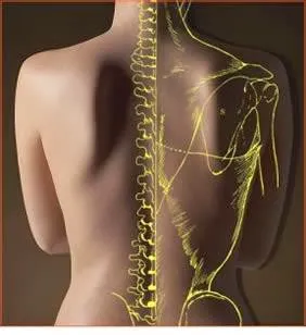 Still Chiropractic Picture 3