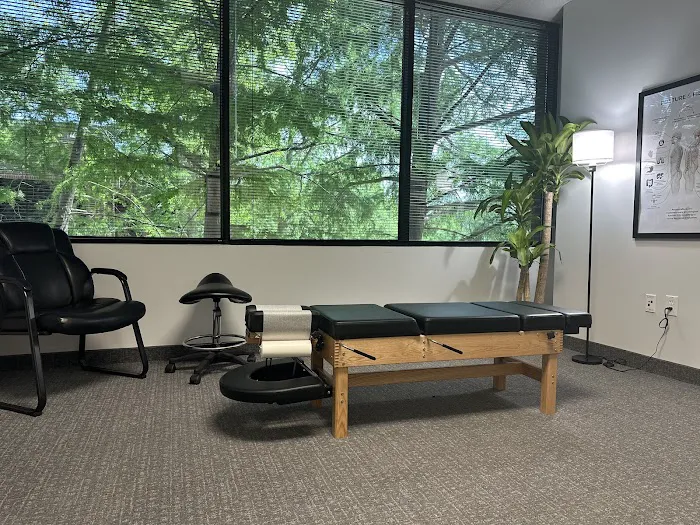 Level Chiropractic Picture 2
