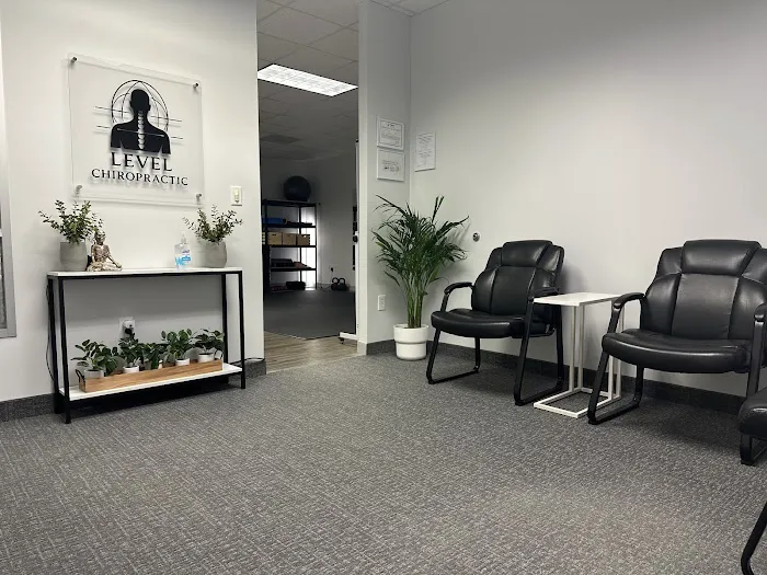 Level Chiropractic Picture 6