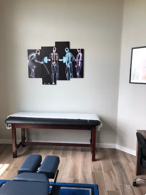 Elite Spine & Sport Picture 5