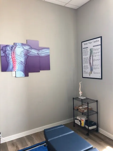 Elite Spine & Sport Picture 8