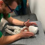Revolution Chiropractic