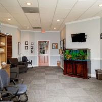 Medford Chiropractic and Family Wellness ico