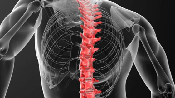 AXIS Chiropractic & Occupational Health Picture 1