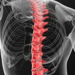 AXIS Chiropractic & Occupational Health