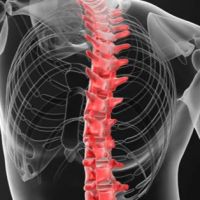 AXIS Chiropractic & Occupational Health ico