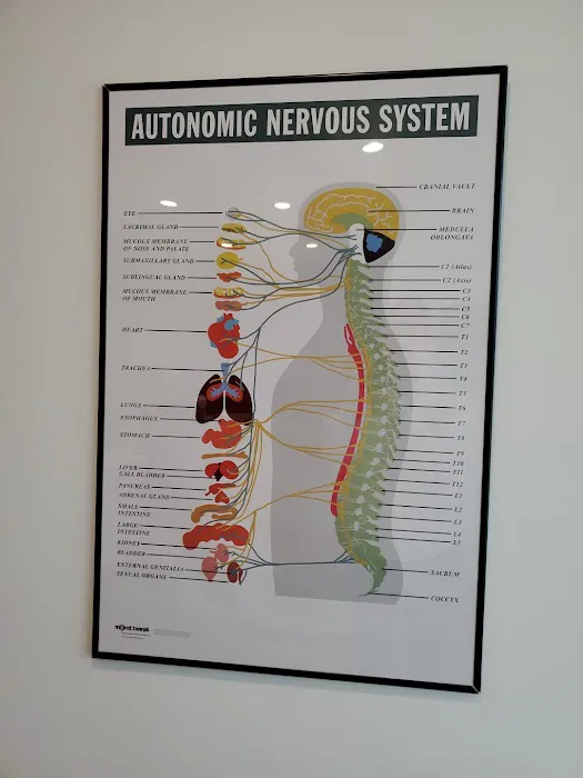 Provision Chiropractic Picture 5