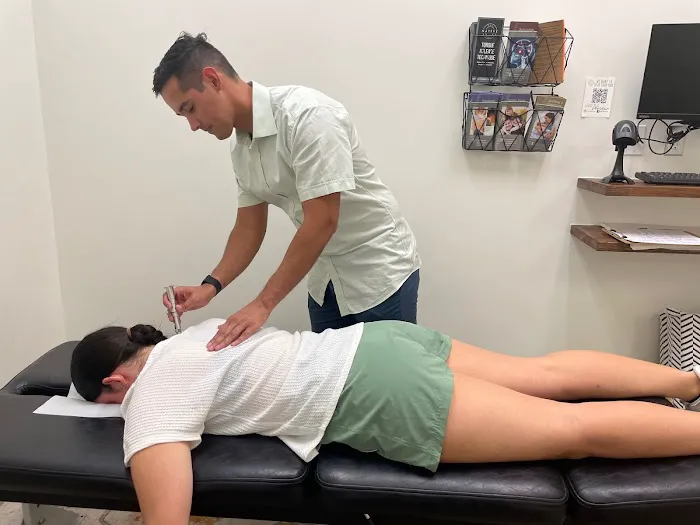 Provision Chiropractic Picture 6