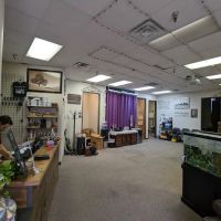 Preston Trail Sports and Family Chiropractic ico